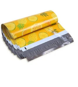 10x13 Pineapple Designer Poly Mailers Envelopes Boutique Custom Bags 100 Bags - Picture 1 of 3