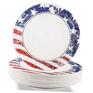 pcs Veterans Day Party Paper Plates 7" Patriotic Dessert Plate 48 American Flag - Picture 1 of 7