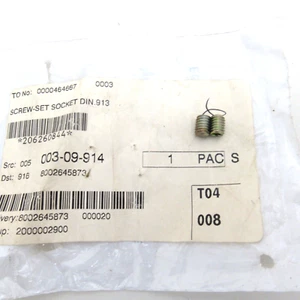 Ski Doo OEM Socket Head Set Screws 206260844 Set of 2 - Picture 1 of 2