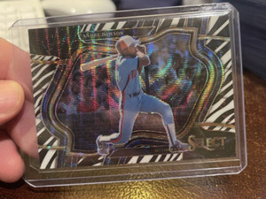 2023 Panini Select #269 Andre Dawson ZEBRA