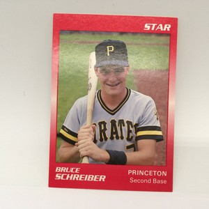 1989 Star Minor League Bruce Schreiber #174