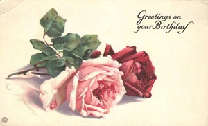 Greetings on Your Birthday Pink & Red Roses Postcard - Picture 1 of 2