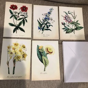 Sierra Club Note Cards and Envelopes ~ 5 Cards ~ Blank Inside ~ New - Picture 1 of 2
