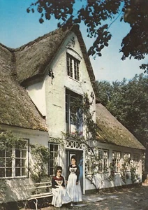 Postkarte - Nordsee-Insel Föhr / Friesenhaus (38) - Bild 1 von 2