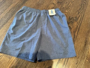 Chubbies Amphibious Hybrid Shorts Mens Size S Gym Swim Blue 7” Inseam NEW - Picture 1 of 5