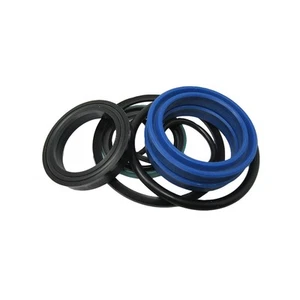 Seal Kit Fits Farmhand Replaces 1R3133 - Picture 1 of 5