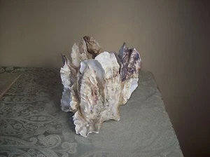 Vintage Seashell Candle with a Pearl. Very Collectible - Picture 1 of 12