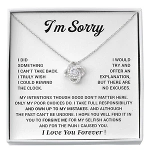 I'm Sorry Gift For Wife Necklace, Sorry Gift for Girlfriend, Forgiveness Gift - Picture 1 of 13