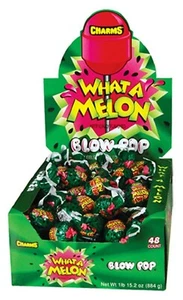 48x Dijes Blow Pops What-A-Melon 18 g Chicle Lleno de Chicle Piruleta - Imagen 1 de 5