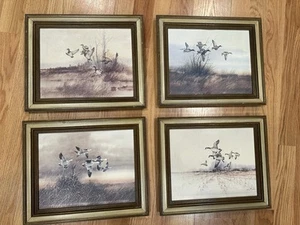 4 Vintage Gregory F Messier Prints In Wooden Frame Duck Mallard Geese Birds - Picture 1 of 22