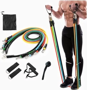 Juego de 11 bandas de resistencia cuerda para tirar gimnasio hogar fitness entrenamiento Crossfit YogaTube - Imagen 1 de 11