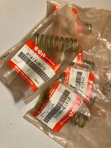 Resorte de Embrague 1 x 5 Piezas Suzuki DL 1000 V-Strom 21413-06G10 NOS - Imagen 1 de 1