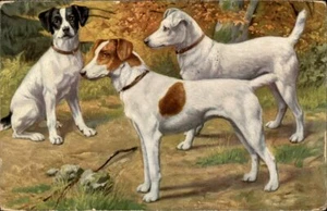 Jagdhunde Terrier 1929 Land Szene Vintage Postkarte - Bild 1 von 2