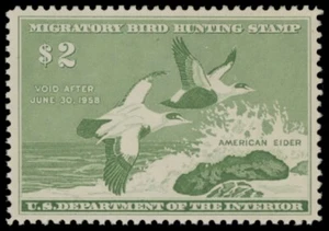 RW24 1957 Federal Duck Stamp Mint Light Hinge Mark - Picture 1 of 1