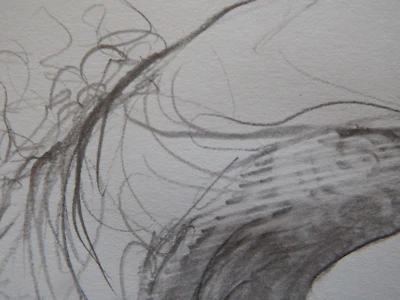 Expressive Style Graphite Pencil Drawing NSFW Erect Penis Male Genitals Phallus  - Image 1 of 4