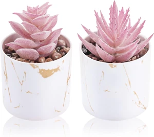 Set of 2 Succulents Plants Artificial Mini Fake Succulents Plants for Office Des - Picture 1 of 12