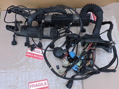 BMW E38 740IL 740I M60 2000 motor arnés de cables principal conjunto de cableado Foto 1 de 4