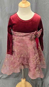 Dollie & Me Christmas Dress Girl Sweet Heart Rose Red Velour Holiday Dress Sz 5 - Picture 1 of 4