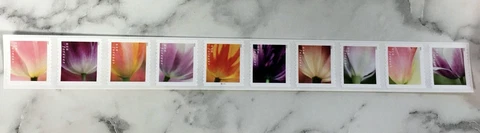 2023USA #5767-5776a Forever Tulip Blossoms - Plate Number PNC Coil Strip 10 Mint Cover