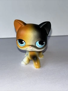 Littlest Pet Shop LPS #106 Kurzhaar Katze Calico Kätzchen 2004 Original - Bild 1 von 5