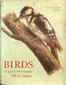 Birds of Field and Forest by O. Stepanek - Imagen 1 de 1