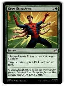 2025 Magic: The Gathering Spider-Man - Picture 1 of 2