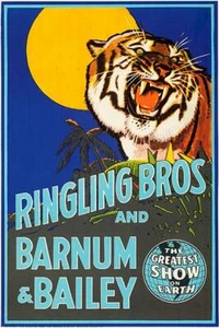 Ringling Bros & Barnum & Bailey Circus - 1942 - imán publicitario promocional - Imagen 1 de 2