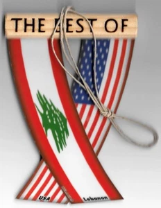Rückspiegel Autofahnen Libanon und USA Libanesische Einheit Flagz für Innen Auto - Bild 1 von 8