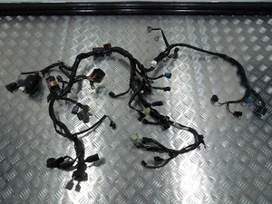 Arnés de telar de cableado principal genuino Kawasaki Z650 2017 a 2019 - Imagen 1 de 15