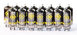 WF BERLIN STR75/60 VOLTAGE REGULATOR TUBE 75C1 SR51 M8225 GD75P Stabiliser - Picture 1 of 4