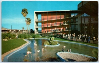Postkarte - Flamingo und Pinguin Pool. Marineland of the Pacific, Kalifornien, USA - Bild 1 von 2