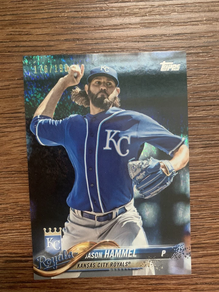 JASON HAMMEL 2018 Topps Complete Set FOILBOARD /190 Card PWE - Image 1 of 1