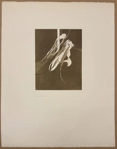 Gabriele Grosse, Buckelzirpe, Farbradierung, 1977, handsigniert und datiert - Picture 1 of 3