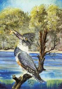 100 lithographic art prints BULK LOT wholesale resale KINGFISHER 5x7 bird - Picture 1 of 2