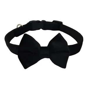 WDPAWS Dog Collar with Bowtie Soft Velvet Material with Quick Release Buckle for - Picture 1 of 6