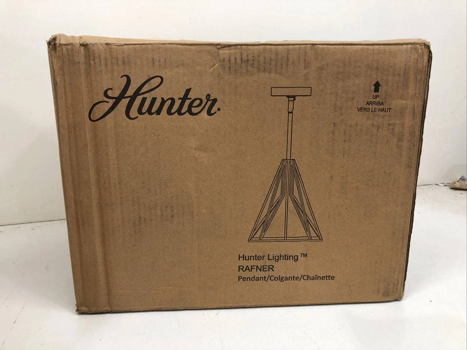 Hunter Rafner 1 Luz Colgante Hierro Natural Luz Vidrio Mercurio Pantalla 19449 Foto 1 de 3