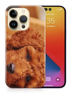 CASE COVER FOR APPLE IPHONE|POODLE DOG 5 - Bild 1 von 44