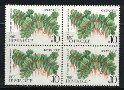 RUSSIA,USSR:1987 SC#5574 block of 4 MNH Ferns - Image 1 of 2