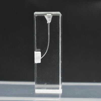 20件装牙科内根管模型训练块牙髓学生教学 — 第 1/4 张图片