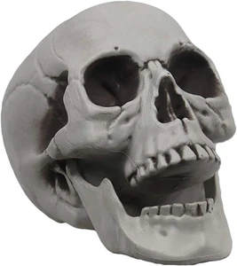 MOKRY PARTY Life Size Skeleton Skull for Halloween Decor Graveyard Outdoor White - Picture 1 of 7