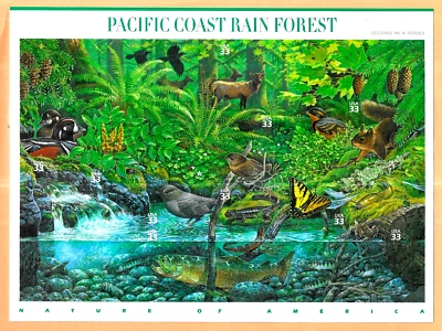 HICK GIRL-BEAUTIFUL U.S. MINT SHEET  SC#3378  PACIFIC COAST RAIN FOREST - Image 1 of 2