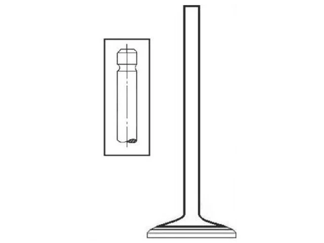 For 1981 Volvo 264 Intake Valve 17826WTDJ 2.4L 6 Cyl — 第 1/2 张图片