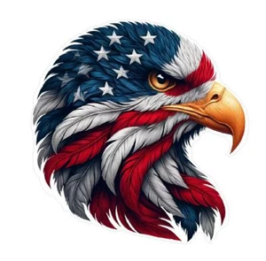 Pegatinas estrellas y rayas American Eagle A222 - Imagen 1 de 1