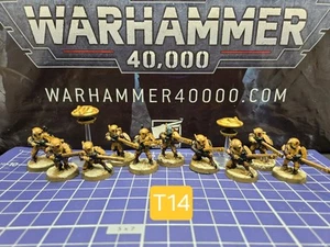 40k Tau Pathfinders x10 +2 Drones Pro Painted T'au Empire Strike Team Breacher - Picture 1 of 5