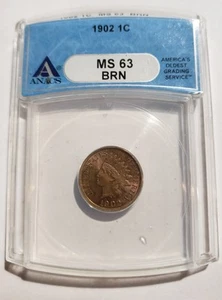 1902 Indianhead Penny MS 63 Brown by ANACS - Picture 1 of 2