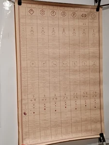 Poster tradizionale carta astrologica/fisiologica dell'Asia meridionale - Foto 1 di 13