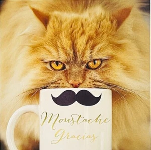 Taza de café Gato posando con bigote Gracias - Paquete de 5 tarjetas de agradecimiento - Imagen 1 de 1