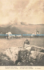 R204763 Brauen Schädliches Gras Die spärliche Herde M Fenoglio Fotoceler - Bild 1 von 4
