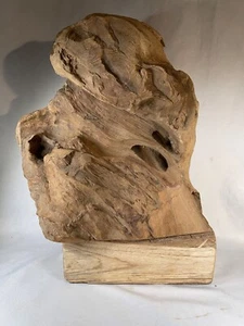 British Gardens large Natural Teak Wood Root Unique Shape 4636 - Picture 1 of 10