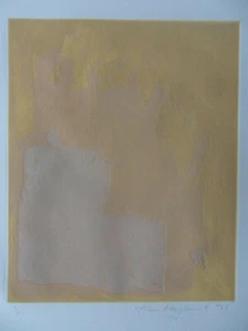 JOHN HOYLAND RA 1934-2011 RARE EARLY SIGNED ED OF 40 SCREENPRINT OCKER-PINK 1971 - Bild 1 von 11
